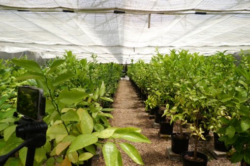 Tour Productivo de la Asociacion Entrerriana de Periodistas Agropecuarios(AEPA) al Campo Experimental El Alambrado, Inta Concordia