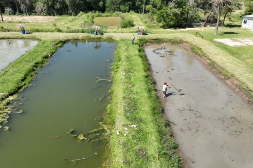 Tour Productivo de la Asociacion Entrerriana de Periodistas Agropecuarios(AEPA) al Campo Experimental El Alambrado, Inta Concordia
