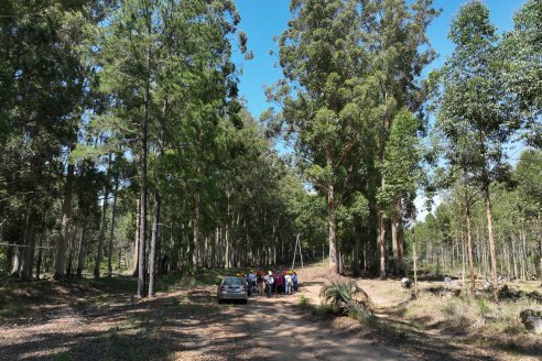 Tour Productivo de la Asociacion Entrerriana de Periodistas Agropecuarios(AEPA) al Campo Experimental El Alambrado, Inta Concordia