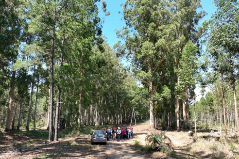 Tour Productivo de la Asociacion Entrerriana de Periodistas Agropecuarios(AEPA) al Campo Experimental El Alambrado, Inta Concordia