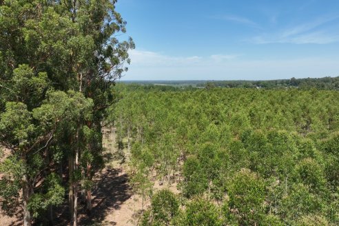 Tour Productivo de la Asociacion Entrerriana de Periodistas Agropecuarios(AEPA) al Campo Experimental El Alambrado, Inta Concordia