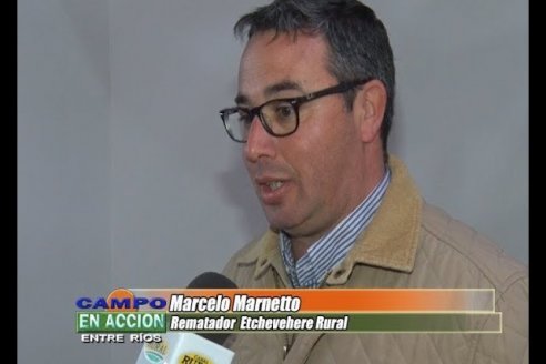 &ldquo;La carne está en un valor correcto, falta un acomodo de lo salarial"