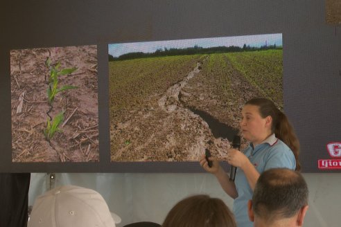 1° Jornada A Campo Abierto de Giorgi - Campo El Destino - Zavalla, Santa Fe