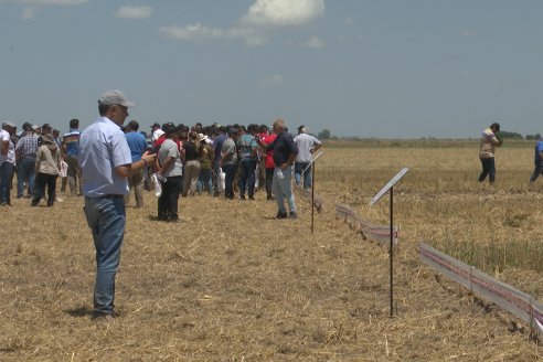 1° Jornada A Campo Abierto de Giorgi - Campo El Destino - Zavalla, Santa Fe