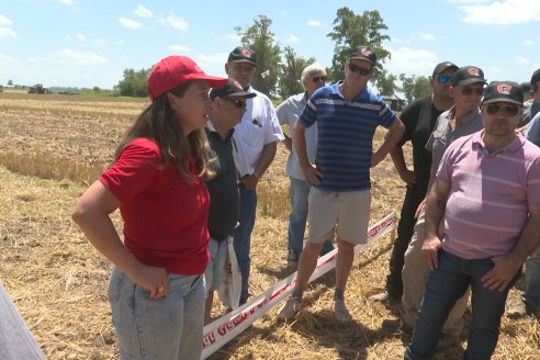 1° Jornada A Campo Abierto de Giorgi - Campo El Destino - Zavalla, Santa Fe