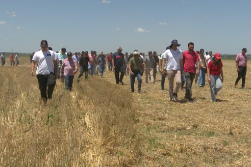 1° Jornada A Campo Abierto de Giorgi - Campo El Destino - Zavalla, Santa Fe