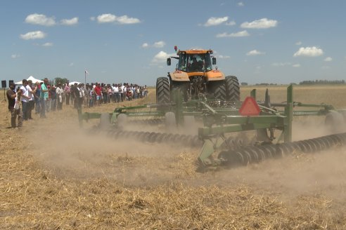 1° Jornada A Campo Abierto de Giorgi - Campo El Destino - Zavalla, Santa Fe
