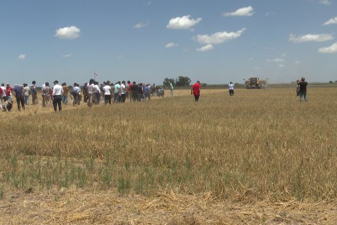 1° Jornada A Campo Abierto de Giorgi - Campo El Destino - Zavalla, Santa Fe