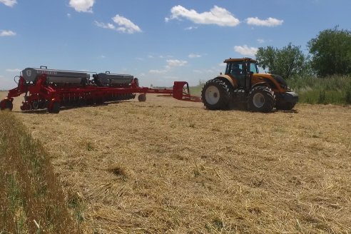 1° Jornada A Campo Abierto de Giorgi - Campo El Destino - Zavalla, Santa Fe