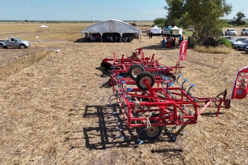 1° Jornada A Campo Abierto de Giorgi - Campo El Destino - Zavalla, Santa Fe