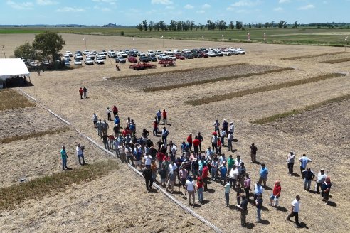 1° Jornada A Campo Abierto de Giorgi - Campo El Destino - Zavalla, Santa Fe