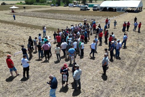 1° Jornada A Campo Abierto de Giorgi - Campo El Destino - Zavalla, Santa Fe