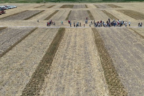 1° Jornada A Campo Abierto de Giorgi - Campo El Destino - Zavalla, Santa Fe