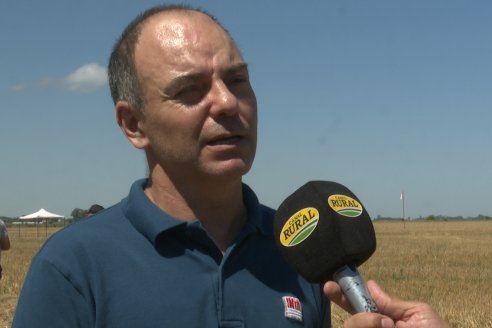 1° Jornada A Campo Abierto de Giorgi - Campo El Destino - Zavalla, Santa Fe