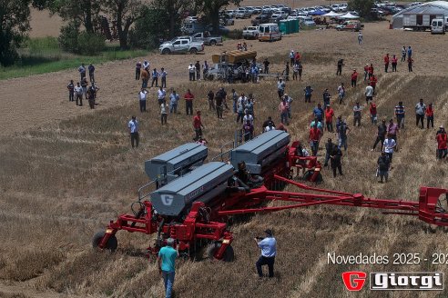 GIORGI consolidó su perfil innovador en 2025 y proyecta nuevos desafíos para este nuevo año