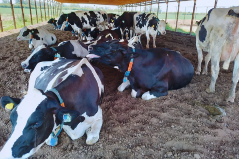 Con tecnologías de precisión, es posible anticiparse al estrés