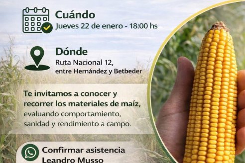 Coopar invita a su muestra de híbridos de maíz