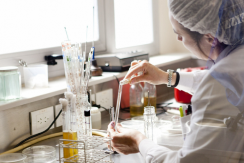 El Gobierno liberó la importación de vacunas contra enfermedades bovinas