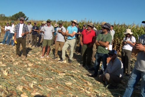 Los ingresos de divisas del agro a la Argentina duplican lo hecho por mineros y petroleros