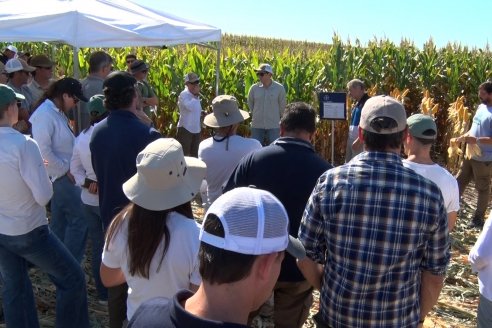 Son 83 los docentes que renunciaron a sus cargos en la Facultad