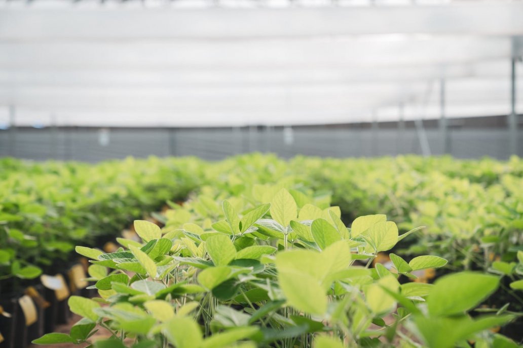 La marca insignia de GDM convoca al sector este 25 de febrero en Chacabuco