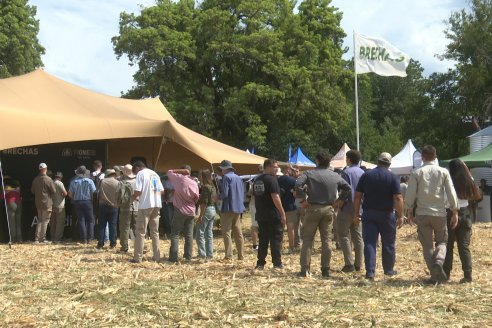 Desde Estab. San Alfonso - Colonia Ensayo: Jornada BRECHAS de Pioneer en Entre Ríos