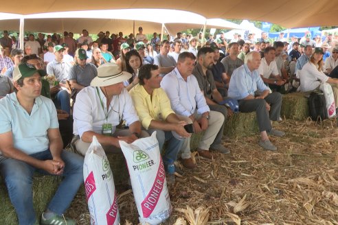 Desde Estab. San Alfonso - Colonia Ensayo: Jornada BRECHAS de Pioneer en Entre Ríos