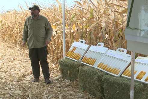 Desde Estab. San Alfonso - Colonia Ensayo: Jornada BRECHAS de Pioneer en Entre Ríos