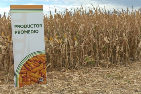 Desde Estab. San Alfonso - Colonia Ensayo: Jornada BRECHAS de Pioneer en Entre Ríos