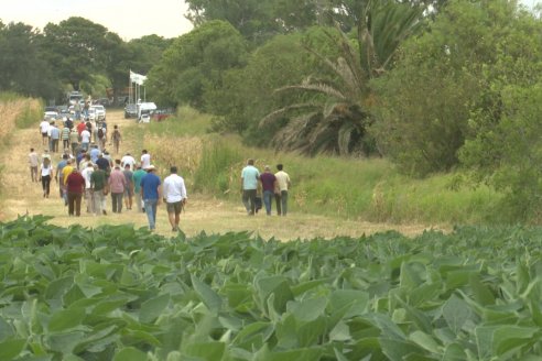 Desde Estab. San Alfonso - Colonia Ensayo: Jornada BRECHAS de Pioneer en Entre Ríos