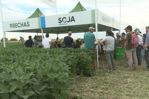 Desde Estab. San Alfonso - Colonia Ensayo: Jornada BRECHAS de Pioneer en Entre Ríos