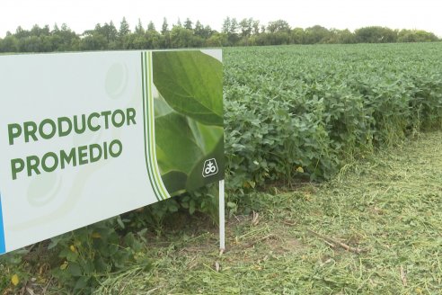 Desde Estab. San Alfonso - Colonia Ensayo: Jornada BRECHAS de Pioneer en Entre Ríos