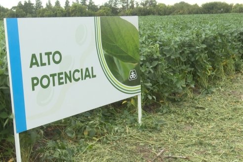 Desde Estab. San Alfonso - Colonia Ensayo: Jornada BRECHAS de Pioneer en Entre Ríos