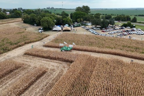Desde Estab. San Alfonso - Colonia Ensayo: Jornada BRECHAS de Pioneer en Entre Ríos