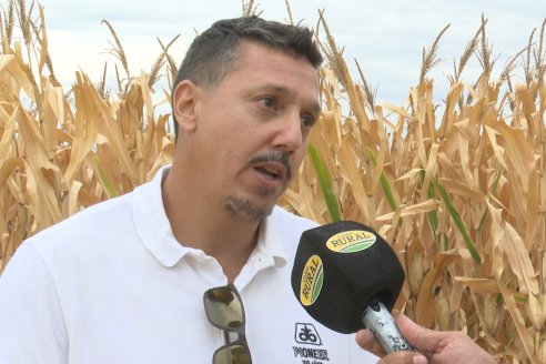 Desde Estab. San Alfonso - Colonia Ensayo: Jornada BRECHAS de Pioneer en Entre Ríos