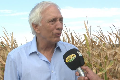 Desde Estab. San Alfonso - Colonia Ensayo: Jornada BRECHAS de Pioneer en Entre Ríos