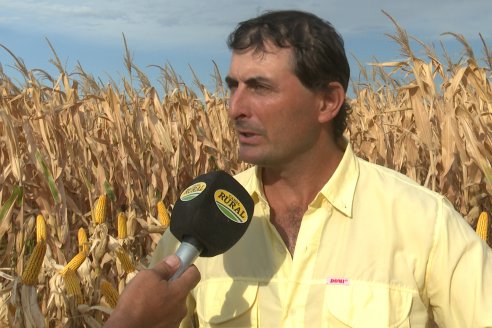 Desde Estab. San Alfonso - Colonia Ensayo: Jornada BRECHAS de Pioneer en Entre Ríos