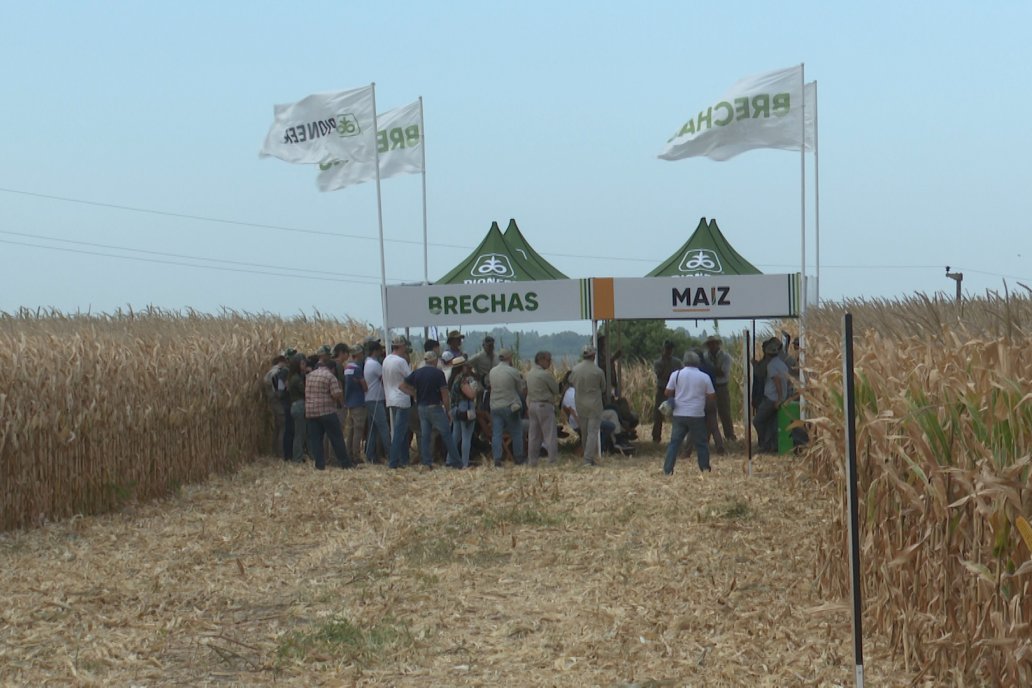 Desde Estab. San Alfonso - Colonia Ensayo: Jornada BRECHAS de Pioneer en Entre Ríos