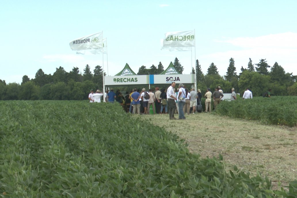 Desde Estab. San Alfonso - Colonia Ensayo: Jornada BRECHAS de Pioneer en Entre Ríos