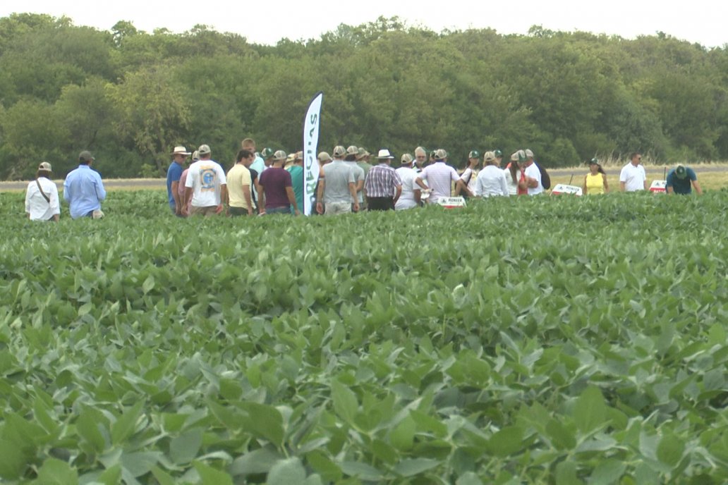 Desde Estab. San Alfonso - Colonia Ensayo: Jornada BRECHAS de Pioneer en Entre Ríos
