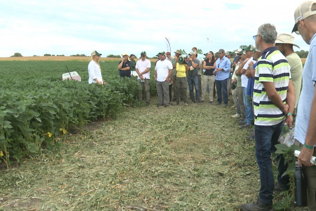 Desde Estab. San Alfonso - Colonia Ensayo: Jornada BRECHAS de Pioneer en Entre Ríos