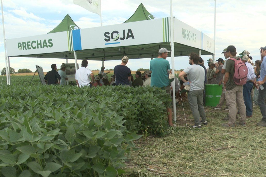 Desde Estab. San Alfonso - Colonia Ensayo: Jornada BRECHAS de Pioneer en Entre Ríos