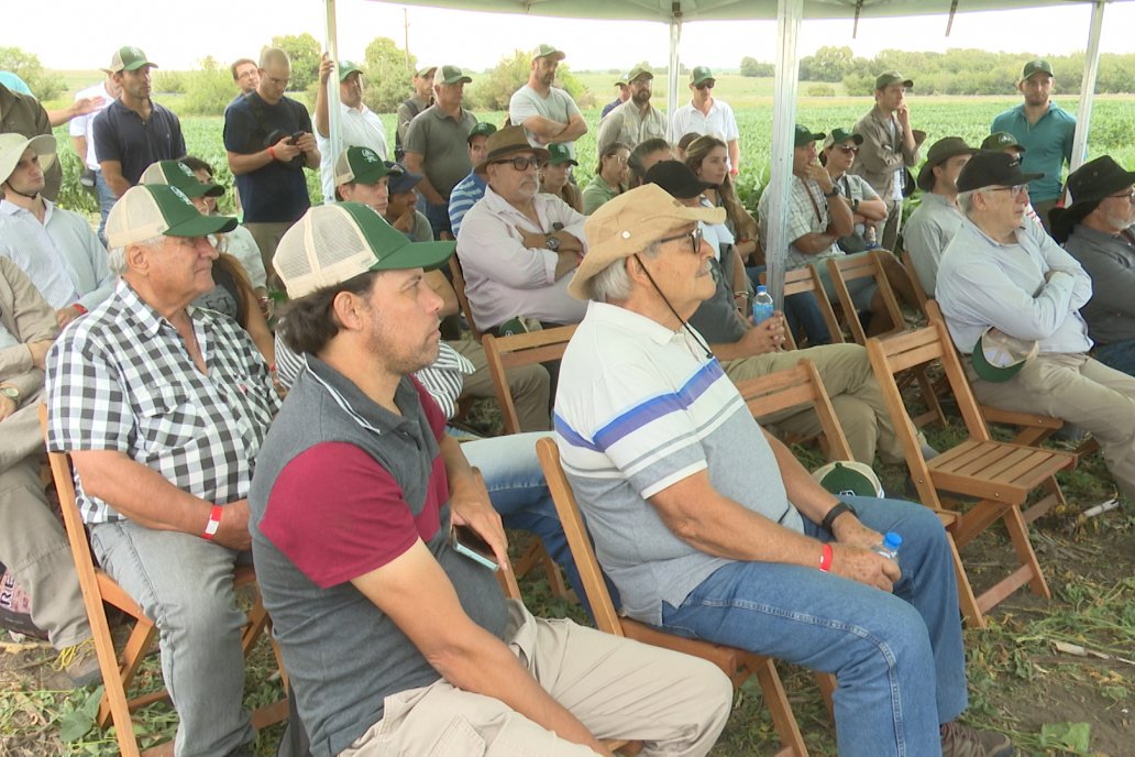 Desde Estab. San Alfonso - Colonia Ensayo: Jornada BRECHAS de Pioneer en Entre Ríos