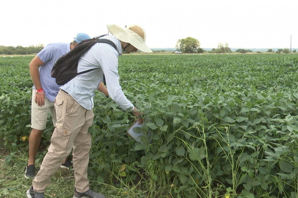 Desde Estab. San Alfonso - Colonia Ensayo: Jornada BRECHAS de Pioneer en Entre Ríos