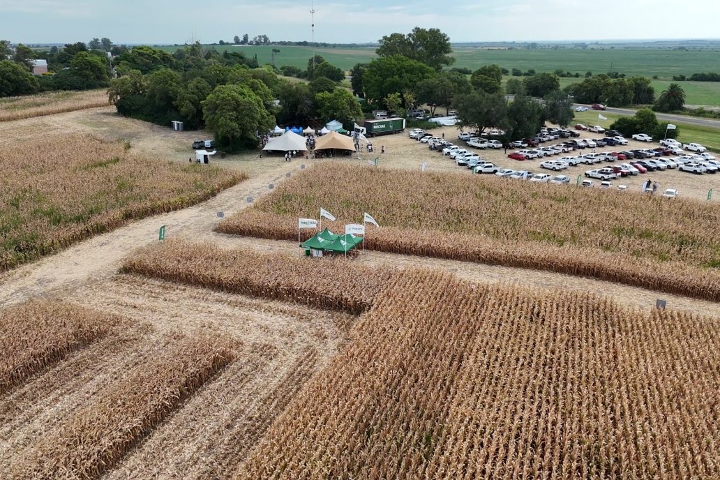 Desde Estab. San Alfonso - Colonia Ensayo: Jornada BRECHAS de Pioneer en Entre Ríos