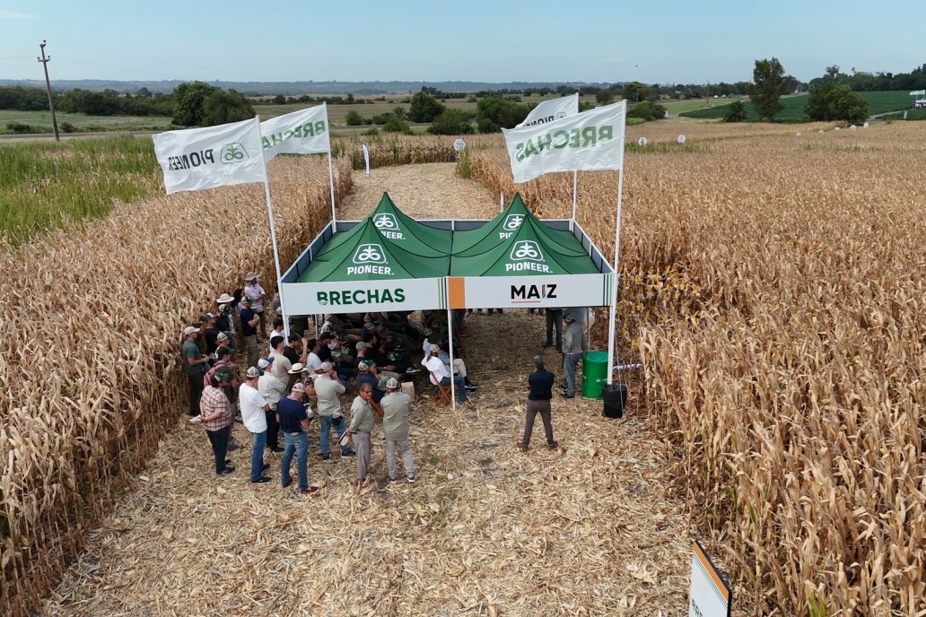 Desde Estab. San Alfonso - Colonia Ensayo: Jornada BRECHAS de Pioneer en Entre Ríos