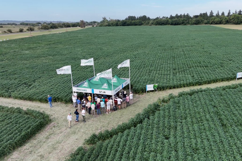 Desde Estab. San Alfonso - Colonia Ensayo: Jornada BRECHAS de Pioneer en Entre Ríos