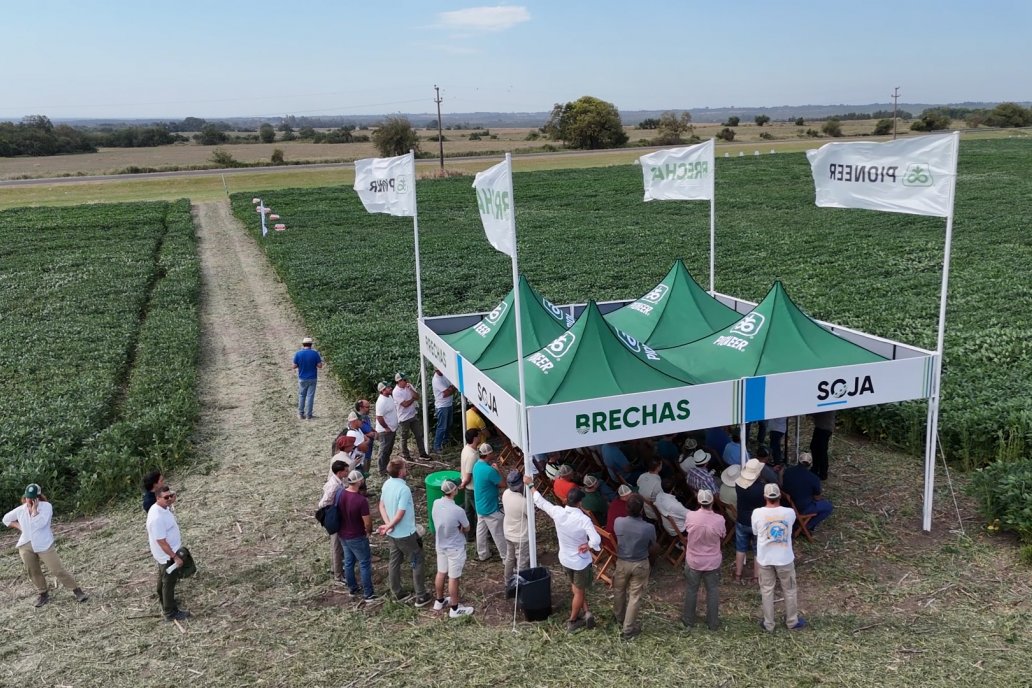 Desde Estab. San Alfonso - Colonia Ensayo: Jornada BRECHAS de Pioneer en Entre Ríos