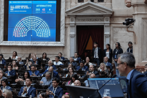 Diputados dio media sanción al proyecto que aprueba el acuerdo del Mercosur con la Unión Europea