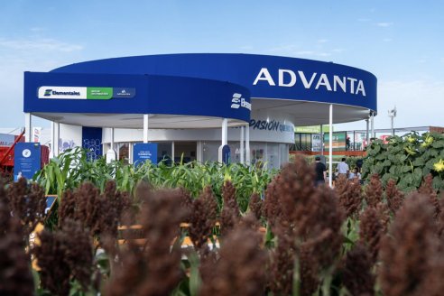 Semillas para tres cultivos: Una propuesta integral para celebrar más de 30 años de trayectoria